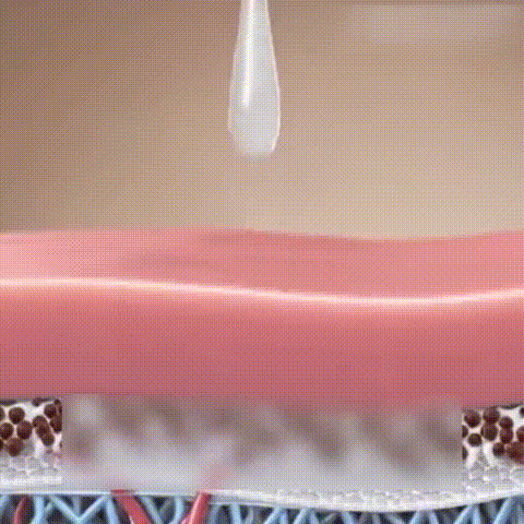 HOYGI Microbiome Balance Repairing Essence image HOYGI Microbiome Balance Repairing Essence