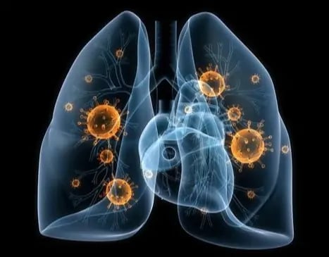Natravor™ Herbal Mullein Lung Purifier