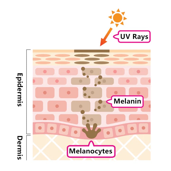 HOYGI Microbiome Balance Repairing Essence image HOYGI Microbiome Balance Repairing Essence