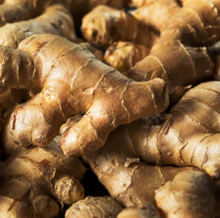 Natravor™ Herbal Mullein Lung Purifier