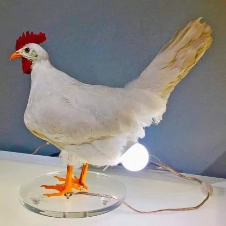 This Hilarious Chicken Egg Lamp Exists, and We Begrudgingly Love It This Hilarious Chicken Egg Lamp Exists, and We Begrudgingly Love It