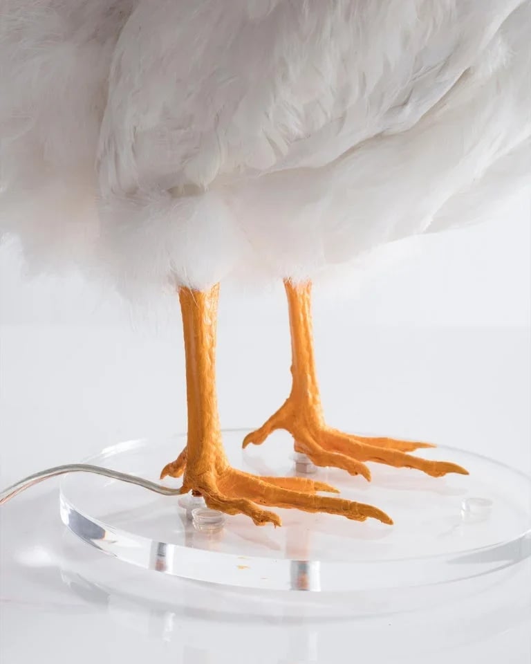 Taxidermy Chicken Laying Light Bulb Egg Lamp Taxidermy Chicken Laying Light Bulb Egg Lamp