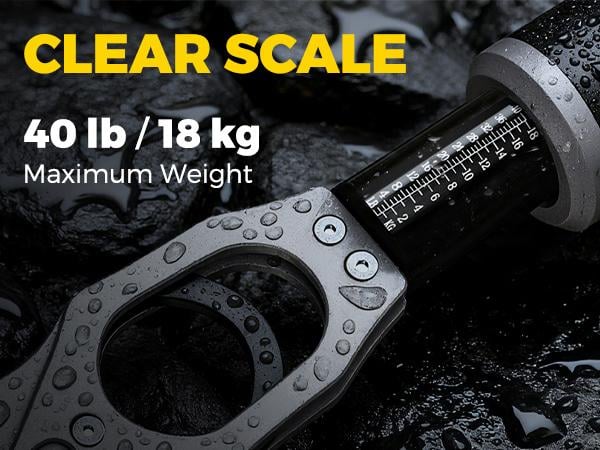 ArcPro Fish Gripper with Scale, Aircraft-Grade Aluminum Alloy Fish Lip Gripper 2-in-1 , 40lb Heavy-Duty & Non-Slip 360° EVA Swivel Handle, Corrosion-Resistant Fish Holder, Fresh/Saltwater