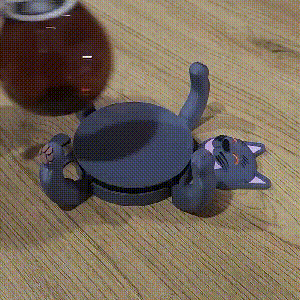 Cat coaster in action