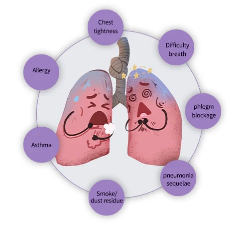 Natravor™ Herbal Mullein Lung Purifier