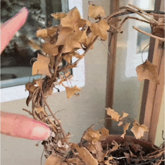 <h2 class="SL_Theme__h2" dir="ltr" style="text-align: start;"><p class="SL_Theme__paragraph" dir="ltr" style="text-align: start;"><span style="white-space: pre-wrap;">Enjoy Beautiful Outdoor Color in 3 Simple Steps</span></p></h2>